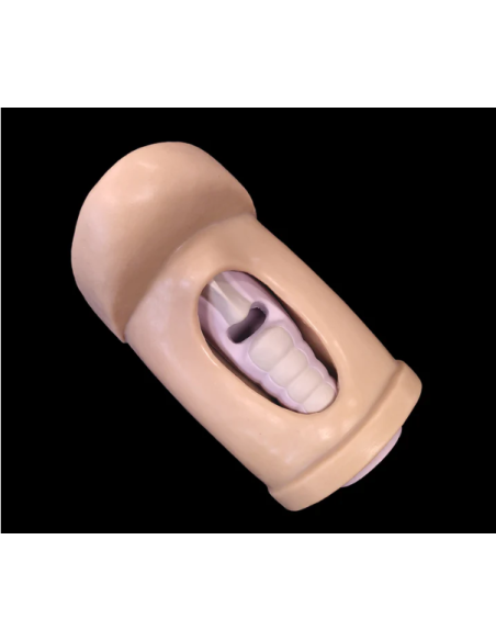 CRIC IN A BOX krikotirotomijos simuliatorius medicinos mokymams