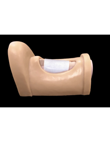 CRIC IN A BOX airway management simuliacija skubios medicinos treniruotėms