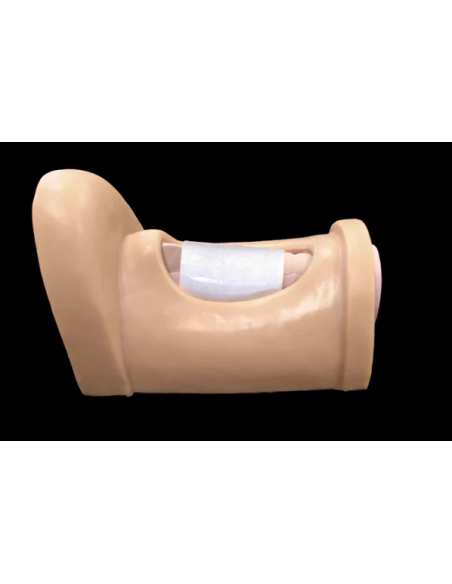 CRIC IN A BOX airway management simuliacija skubios medicinos treniruotėms