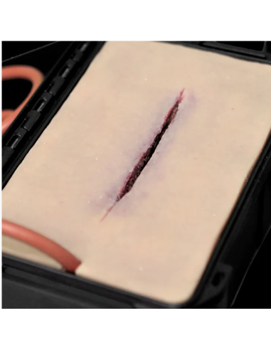 Pjautinių žaizdų simuliatorius LACERATION IN A BOX™