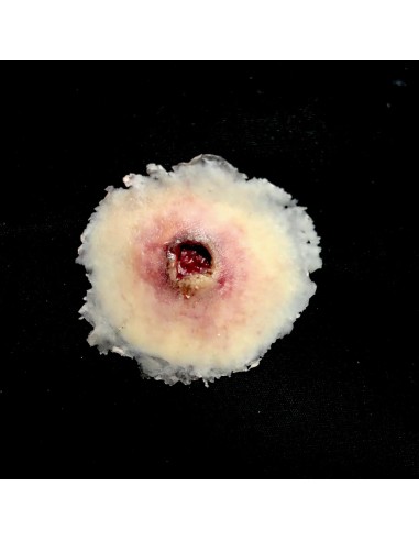 Small gunshot entry wound simulation for medical training