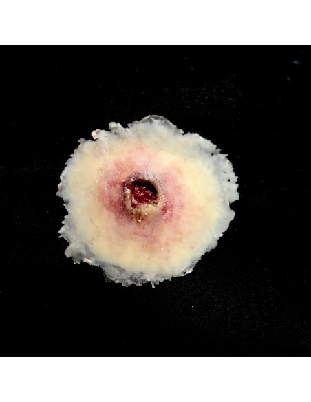 Small gunshot entry wound simulation for medical training