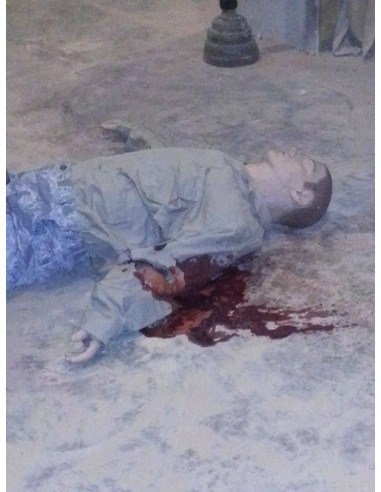 Techline Fake Blood Powder