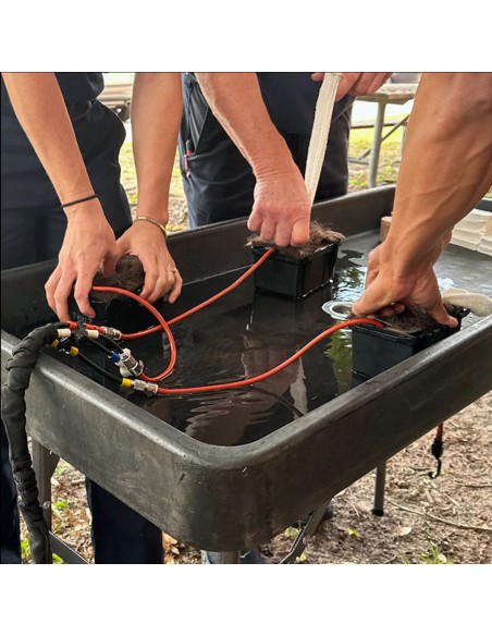 Gunshot In A Box K9 trauma simuliacija veterinarijos mokymams