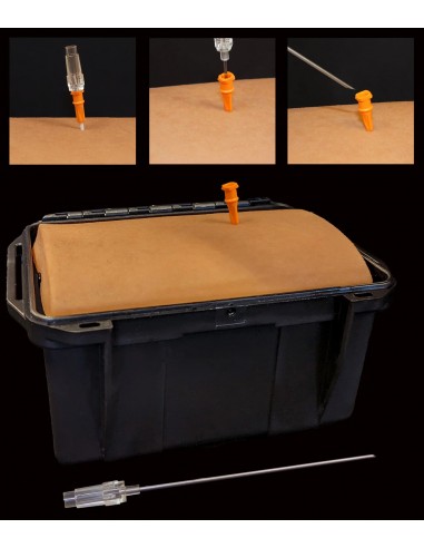 Ribs In A Box medical simulation trainer for chest procedures