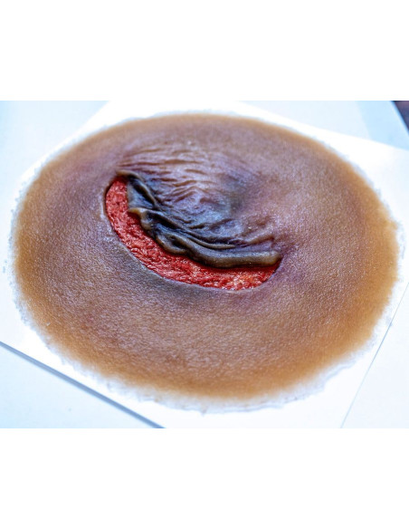 Skin Tear - Techline Technologies